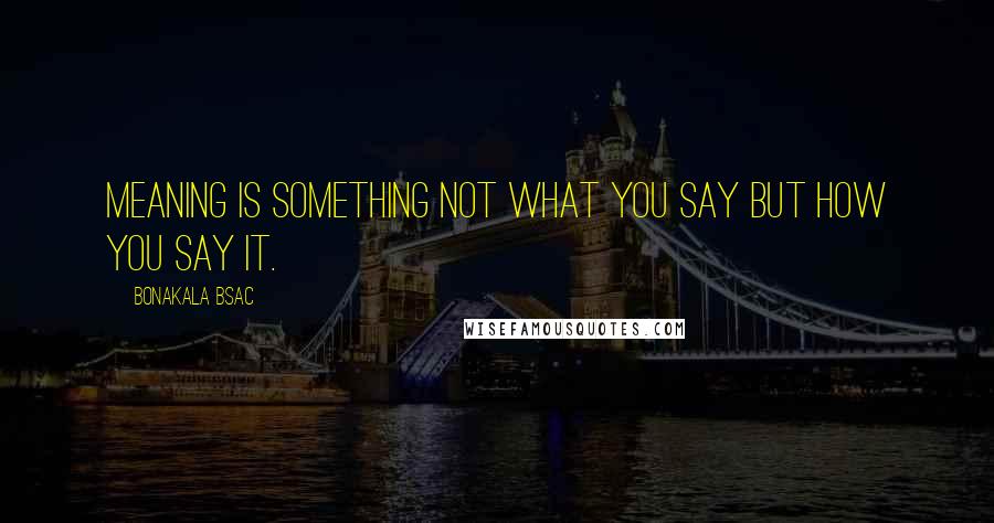 Bonakala Bsac Quotes: Meaning is something not what you say but how you say it.