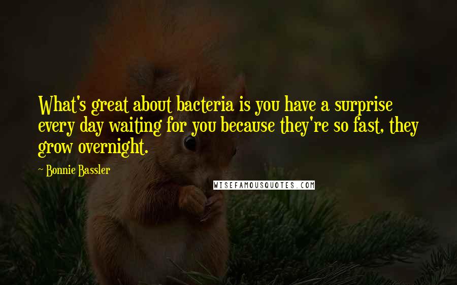 Bonnie Bassler Quotes: What's great about bacteria is you have a surprise every day waiting for you because they're so fast, they grow overnight.