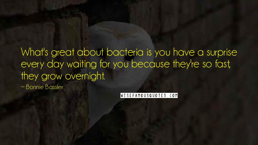 Bonnie Bassler Quotes: What's great about bacteria is you have a surprise every day waiting for you because they're so fast, they grow overnight.