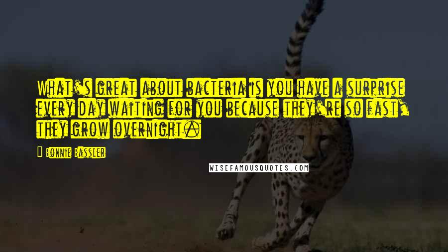 Bonnie Bassler Quotes: What's great about bacteria is you have a surprise every day waiting for you because they're so fast, they grow overnight.