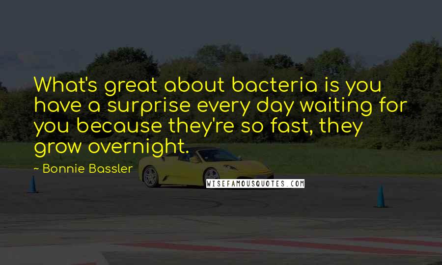 Bonnie Bassler Quotes: What's great about bacteria is you have a surprise every day waiting for you because they're so fast, they grow overnight.