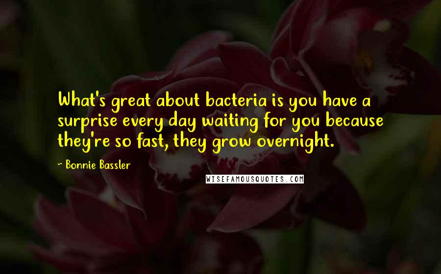 Bonnie Bassler Quotes: What's great about bacteria is you have a surprise every day waiting for you because they're so fast, they grow overnight.