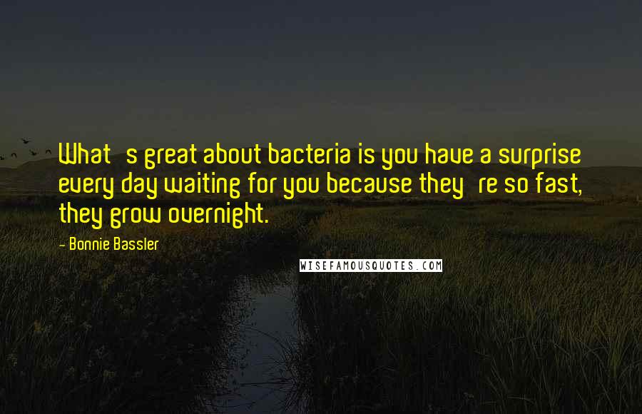 Bonnie Bassler Quotes: What's great about bacteria is you have a surprise every day waiting for you because they're so fast, they grow overnight.