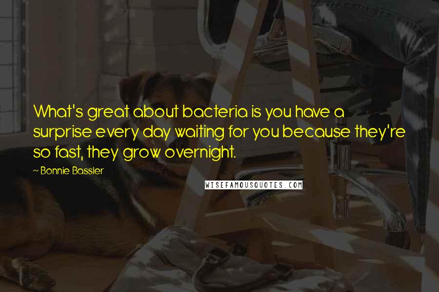 Bonnie Bassler Quotes: What's great about bacteria is you have a surprise every day waiting for you because they're so fast, they grow overnight.