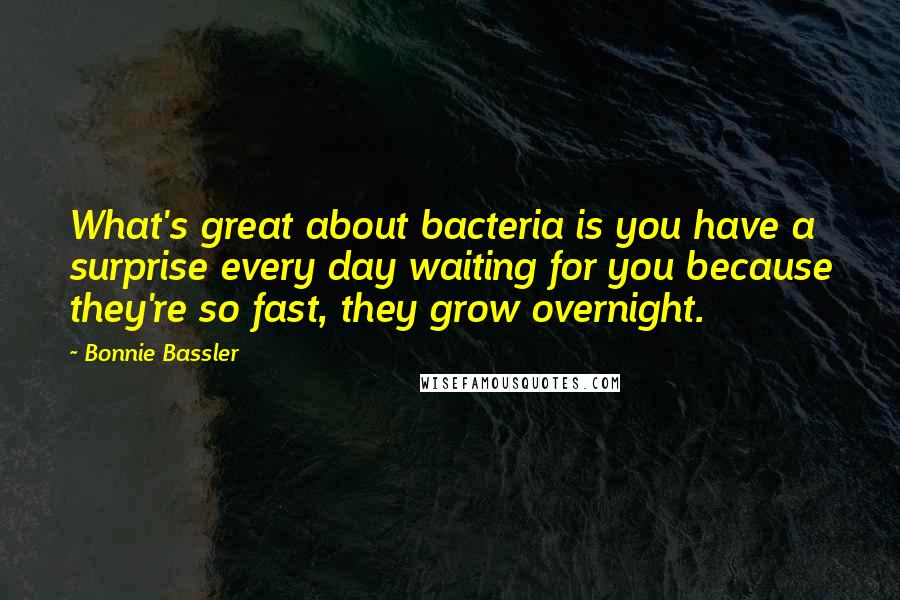 Bonnie Bassler Quotes: What's great about bacteria is you have a surprise every day waiting for you because they're so fast, they grow overnight.