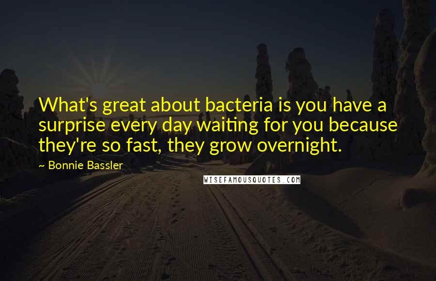 Bonnie Bassler Quotes: What's great about bacteria is you have a surprise every day waiting for you because they're so fast, they grow overnight.