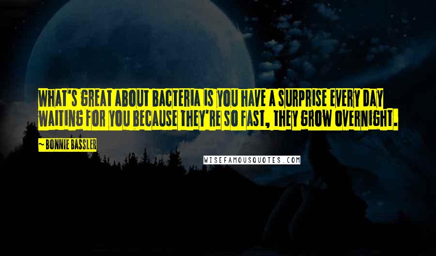 Bonnie Bassler Quotes: What's great about bacteria is you have a surprise every day waiting for you because they're so fast, they grow overnight.