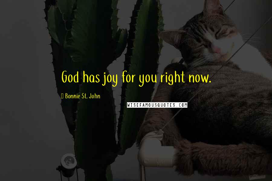 Bonnie St. John Quotes: God has joy for you right now.