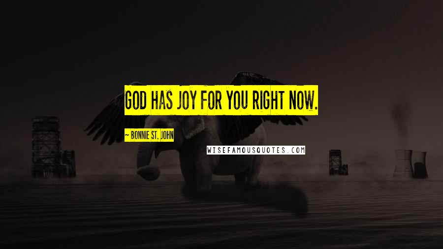 Bonnie St. John Quotes: God has joy for you right now.