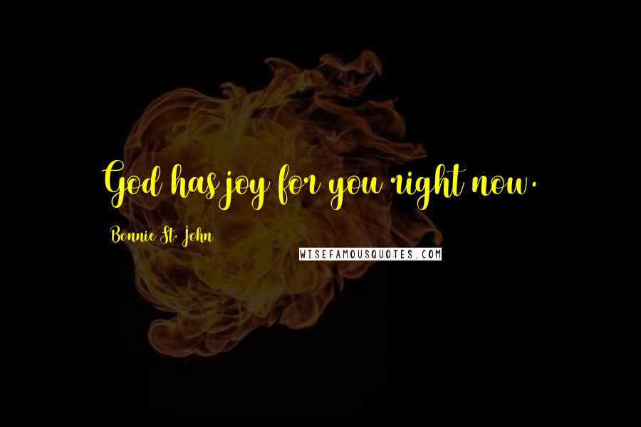 Bonnie St. John Quotes: God has joy for you right now.