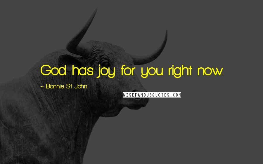 Bonnie St. John Quotes: God has joy for you right now.