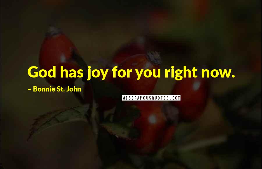 Bonnie St. John Quotes: God has joy for you right now.