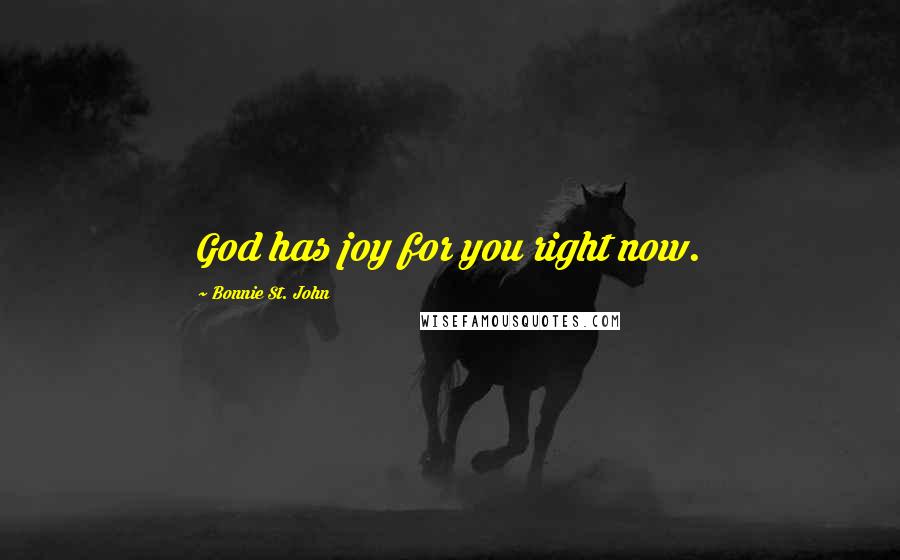 Bonnie St. John Quotes: God has joy for you right now.