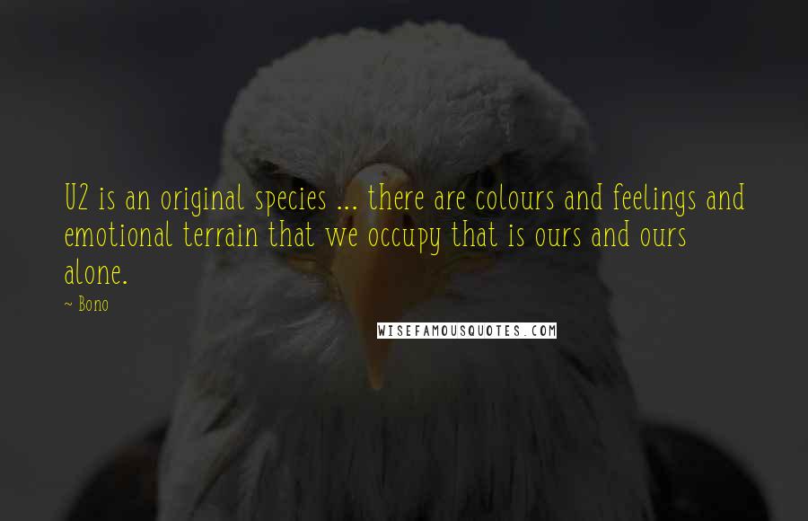 Bono Quotes: U2 is an original species ... there are colours and feelings and emotional terrain that we occupy that is ours and ours alone.