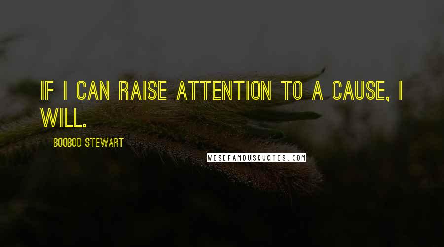 Booboo Stewart Quotes: If I can raise attention to a cause, I will.