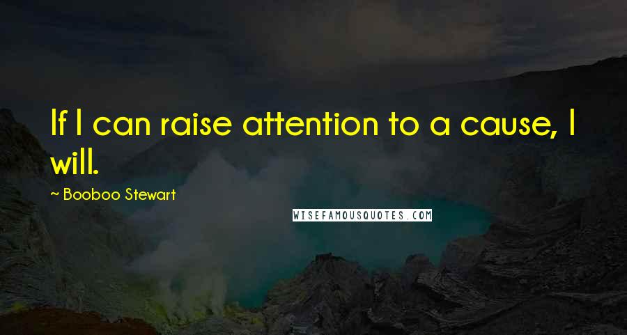 Booboo Stewart Quotes: If I can raise attention to a cause, I will.