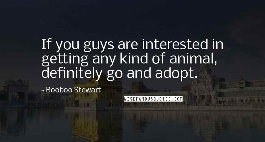 Booboo Stewart Quotes: If you guys are interested in getting any kind of animal, definitely go and adopt.