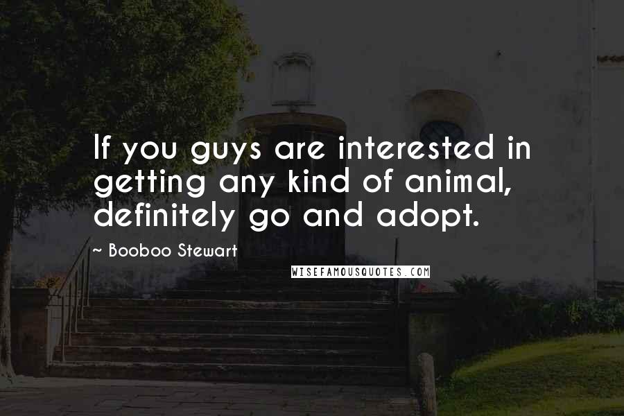 Booboo Stewart Quotes: If you guys are interested in getting any kind of animal, definitely go and adopt.