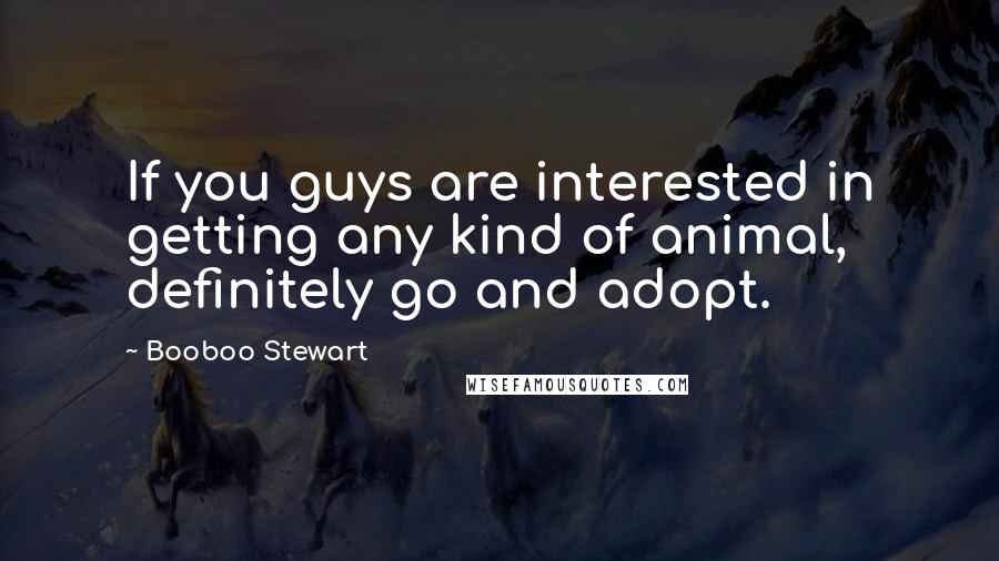 Booboo Stewart Quotes: If you guys are interested in getting any kind of animal, definitely go and adopt.