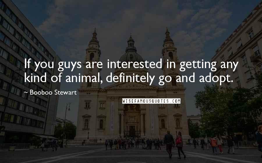 Booboo Stewart Quotes: If you guys are interested in getting any kind of animal, definitely go and adopt.