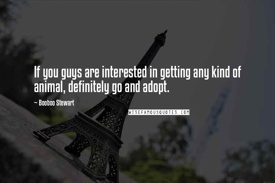 Booboo Stewart Quotes: If you guys are interested in getting any kind of animal, definitely go and adopt.