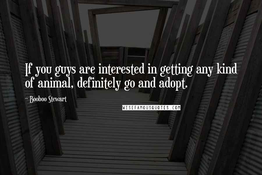 Booboo Stewart Quotes: If you guys are interested in getting any kind of animal, definitely go and adopt.