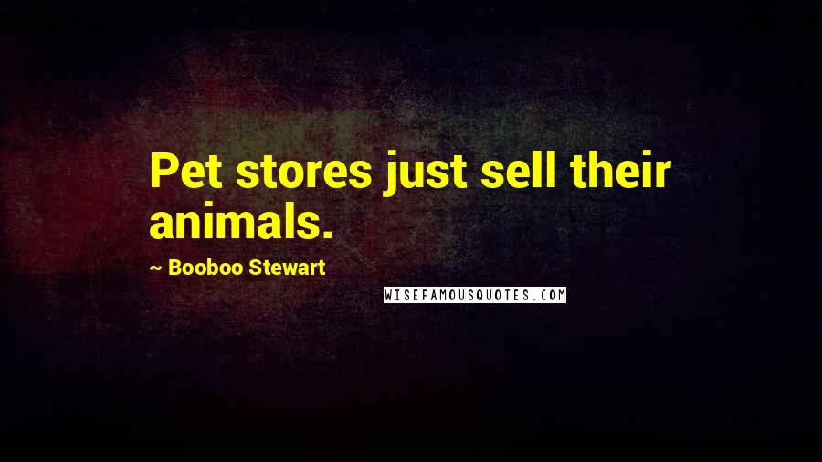 Booboo Stewart Quotes: Pet stores just sell their animals.