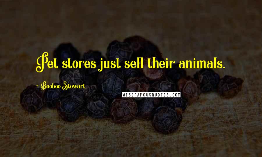 Booboo Stewart Quotes: Pet stores just sell their animals.