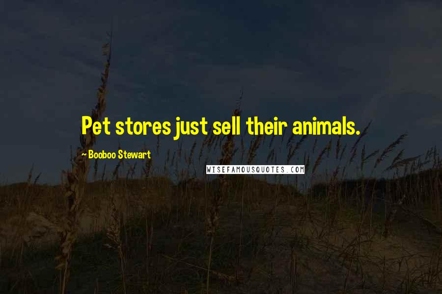 Booboo Stewart Quotes: Pet stores just sell their animals.