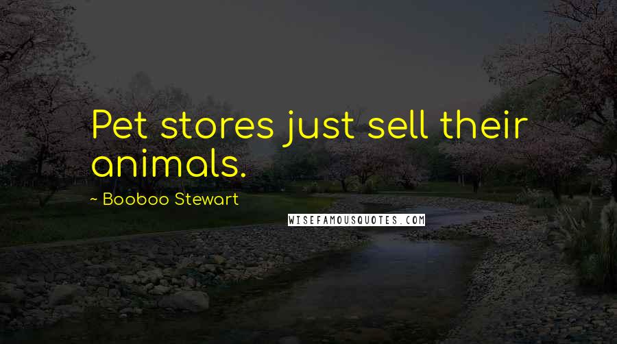Booboo Stewart Quotes: Pet stores just sell their animals.