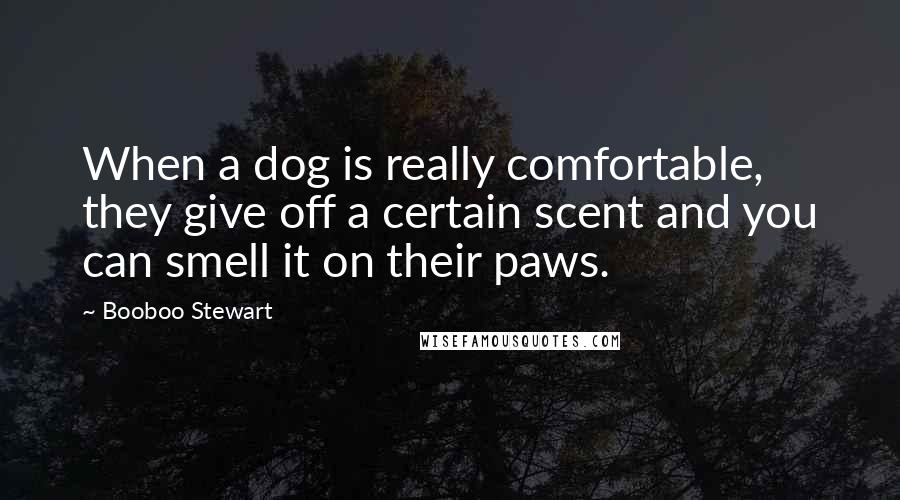 Booboo Stewart Quotes: When a dog is really comfortable, they give off a certain scent and you can smell it on their paws.