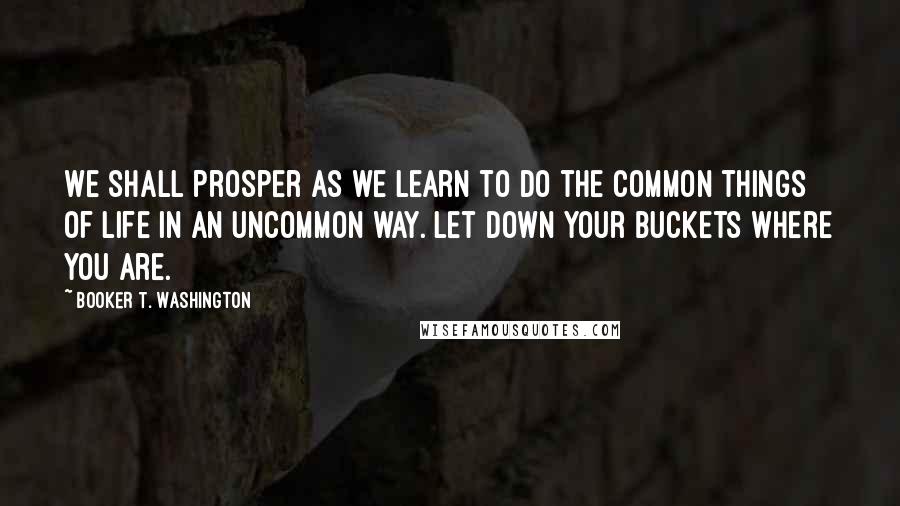 Booker T. Washington Quotes: We shall prosper as we learn to do the common things of life in an uncommon way. Let down your buckets where you are.