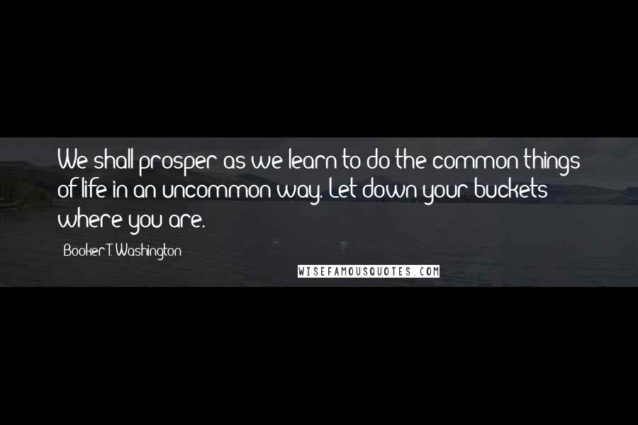 Booker T. Washington Quotes: We shall prosper as we learn to do the common things of life in an uncommon way. Let down your buckets where you are.