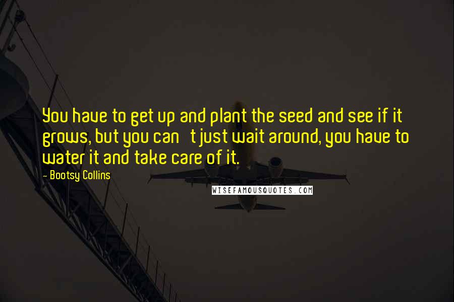 Bootsy Collins Quotes: You have to get up and plant the seed and see if it grows, but you can't just wait around, you have to water it and take care of it.