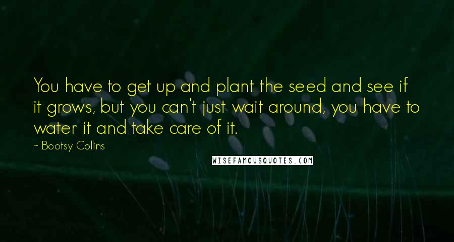 Bootsy Collins Quotes: You have to get up and plant the seed and see if it grows, but you can't just wait around, you have to water it and take care of it.