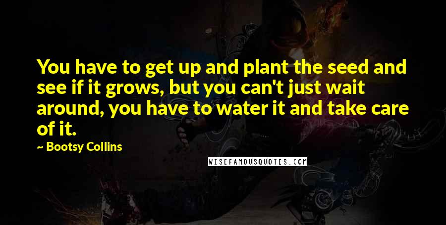 Bootsy Collins Quotes: You have to get up and plant the seed and see if it grows, but you can't just wait around, you have to water it and take care of it.