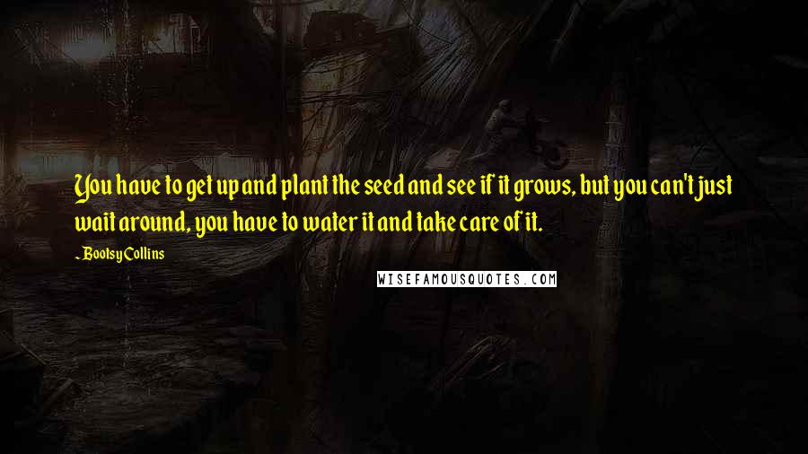 Bootsy Collins Quotes: You have to get up and plant the seed and see if it grows, but you can't just wait around, you have to water it and take care of it.