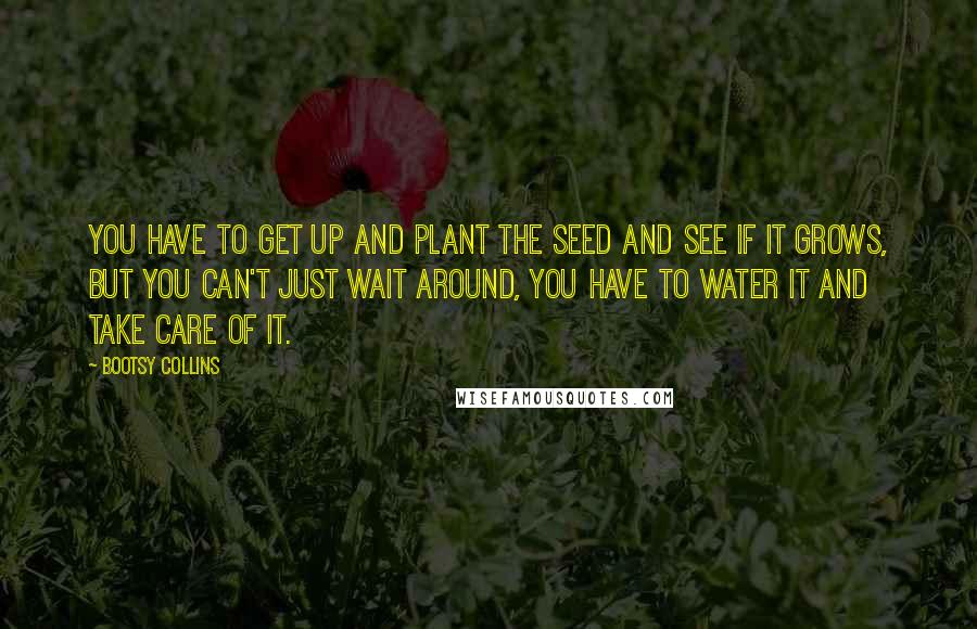 Bootsy Collins Quotes: You have to get up and plant the seed and see if it grows, but you can't just wait around, you have to water it and take care of it.