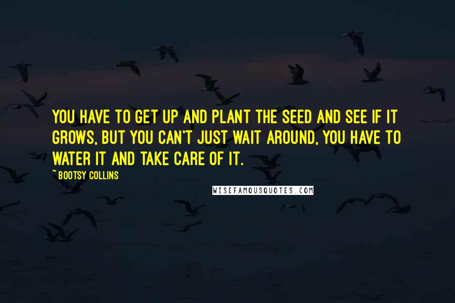 Bootsy Collins Quotes: You have to get up and plant the seed and see if it grows, but you can't just wait around, you have to water it and take care of it.