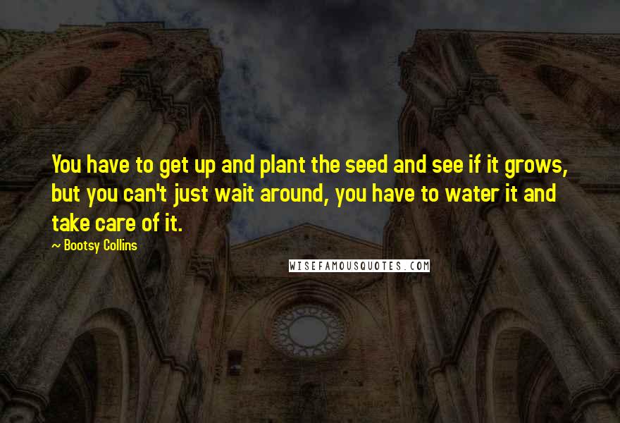 Bootsy Collins Quotes: You have to get up and plant the seed and see if it grows, but you can't just wait around, you have to water it and take care of it.