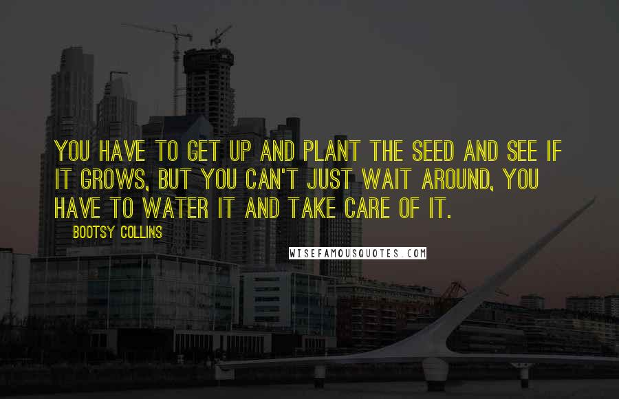 Bootsy Collins Quotes: You have to get up and plant the seed and see if it grows, but you can't just wait around, you have to water it and take care of it.