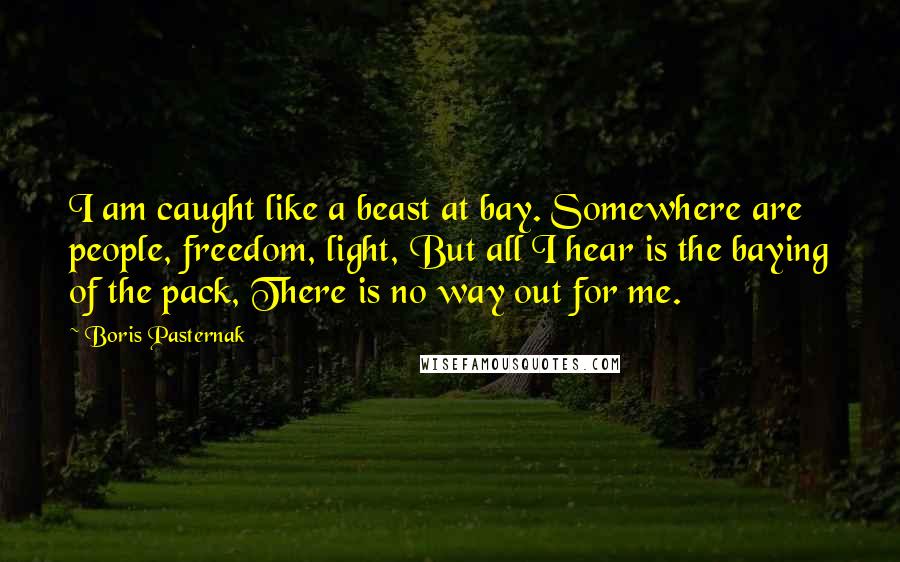 Boris Pasternak Quotes: I am caught like a beast at bay. Somewhere are people, freedom, light, But all I hear is the baying of the pack, There is no way out for me.