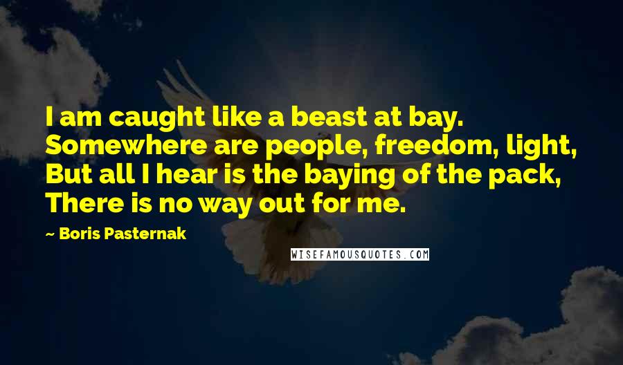 Boris Pasternak Quotes: I am caught like a beast at bay. Somewhere are people, freedom, light, But all I hear is the baying of the pack, There is no way out for me.