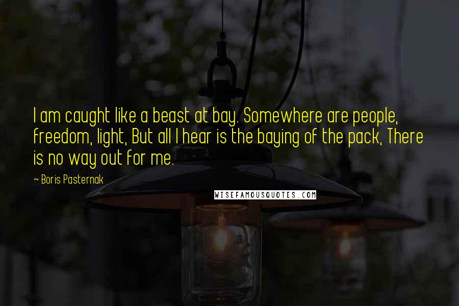 Boris Pasternak Quotes: I am caught like a beast at bay. Somewhere are people, freedom, light, But all I hear is the baying of the pack, There is no way out for me.