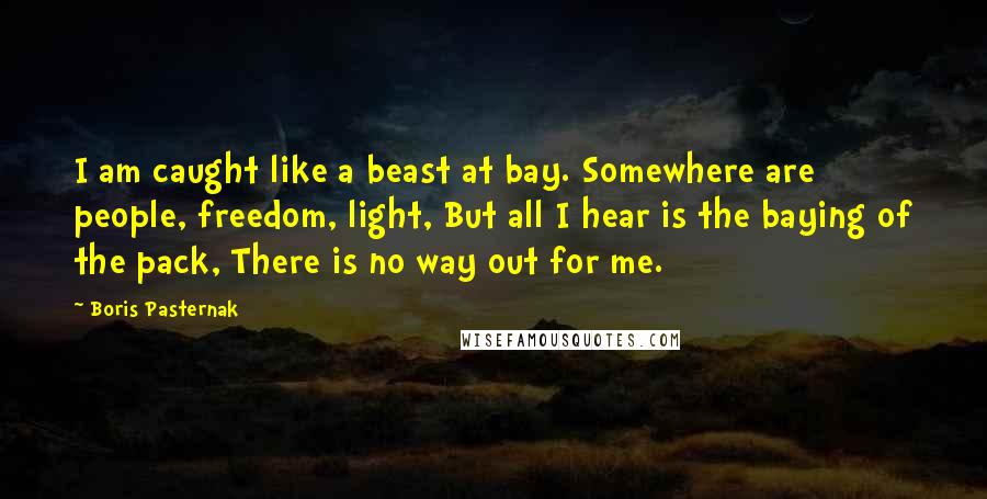 Boris Pasternak Quotes: I am caught like a beast at bay. Somewhere are people, freedom, light, But all I hear is the baying of the pack, There is no way out for me.