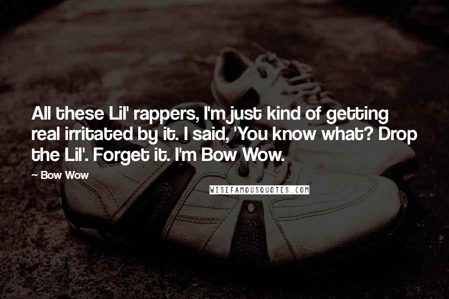 Bow Wow Quotes: All these Lil' rappers, I'm just kind of getting real irritated by it. I said, 'You know what? Drop the Lil'. Forget it. I'm Bow Wow.