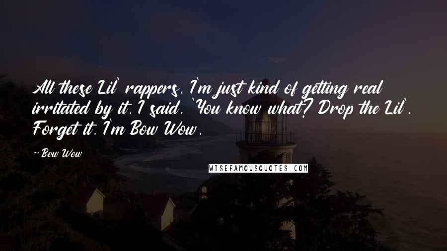Bow Wow Quotes: All these Lil' rappers, I'm just kind of getting real irritated by it. I said, 'You know what? Drop the Lil'. Forget it. I'm Bow Wow.