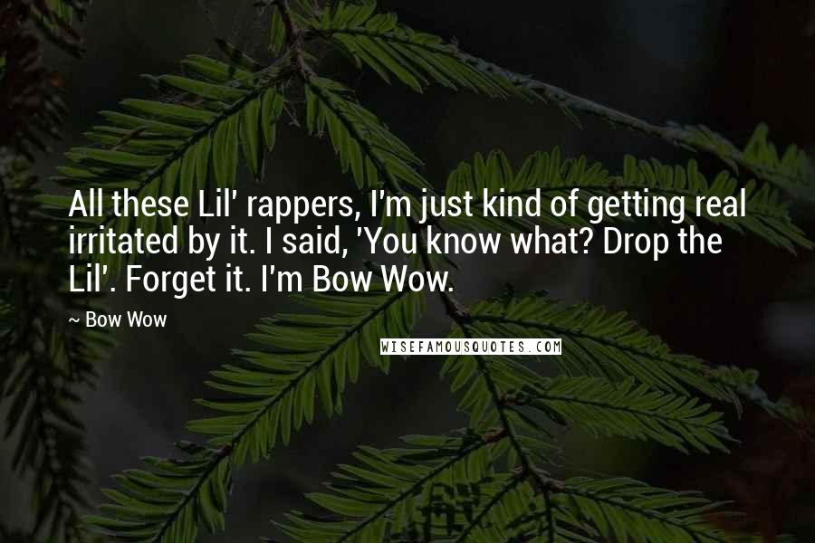 Bow Wow Quotes: All these Lil' rappers, I'm just kind of getting real irritated by it. I said, 'You know what? Drop the Lil'. Forget it. I'm Bow Wow.