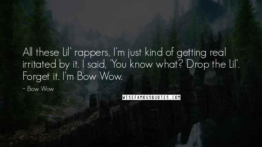 Bow Wow Quotes: All these Lil' rappers, I'm just kind of getting real irritated by it. I said, 'You know what? Drop the Lil'. Forget it. I'm Bow Wow.