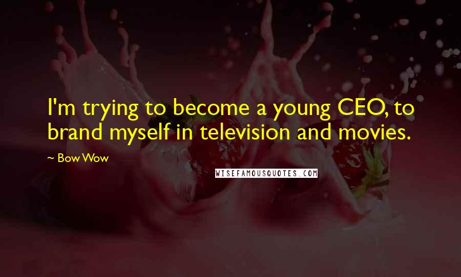 Bow Wow Quotes: I'm trying to become a young CEO, to brand myself in television and movies.